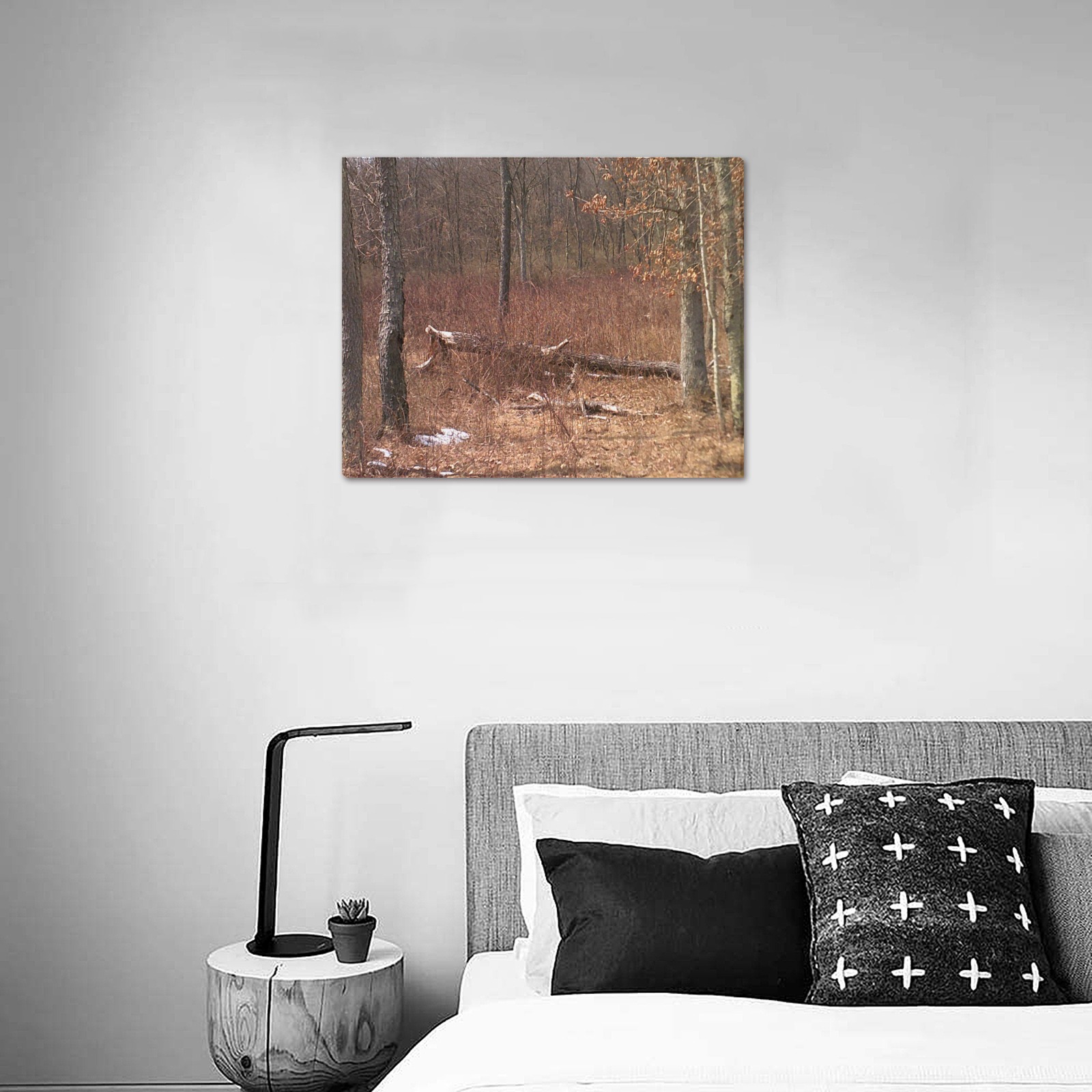 Falling tree in the woods Upgraded Canvas Print 20"x16"