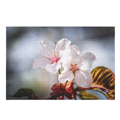 Two absolutely beautiful sakura cherry flowers.