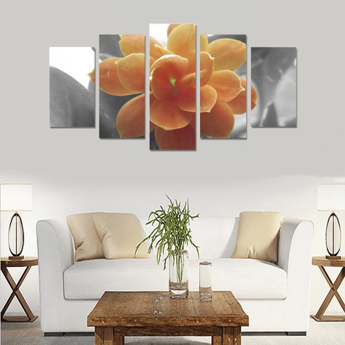 Black & White Single Orange Kalonchoe Flower Photograph Canvas Print Sets A (No Frame)