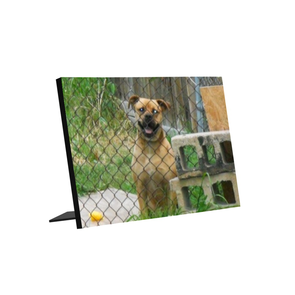 A Smiling Dog Photo Panel for Tabletop Display 8"x6"