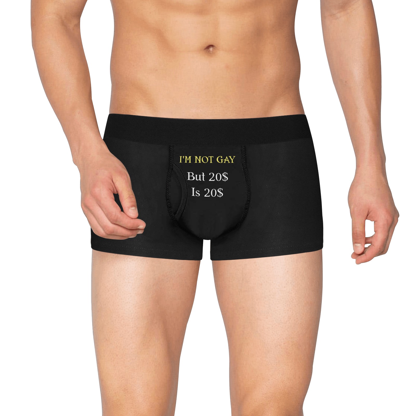i'm not gay Men's Boxer Briefs with Fly (Model L49)