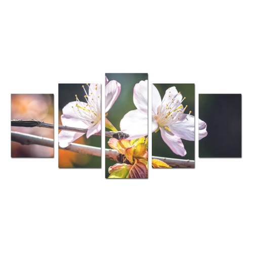Slender sakura flowers. Sunlight and shadows. Canvas Print Sets D (No Frame)