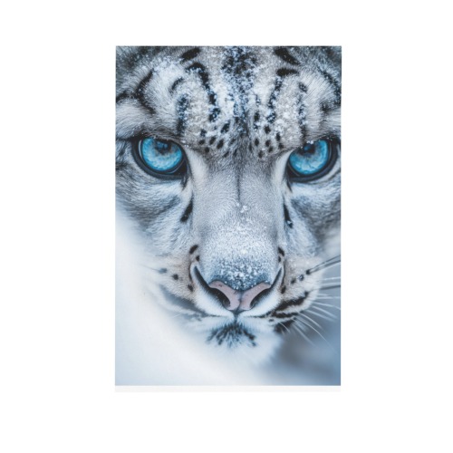 Snow Leopard Blue Eyes