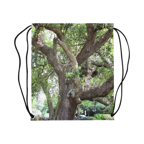 Oak Tree In The Park 7659 Stinson Park Jacksonville Florida Large Drawstring Bag Model 1604 (Twin Sides)  16.5"(W) * 19.3"(H)