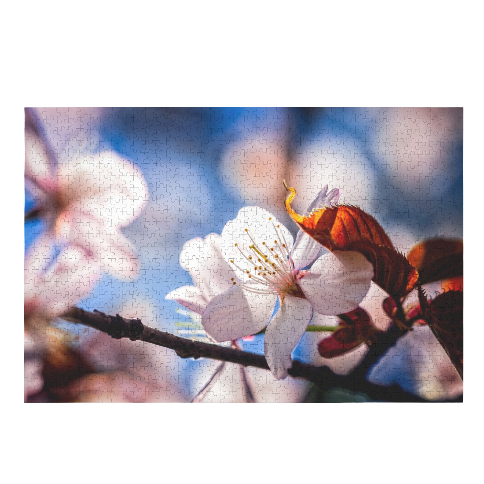 Sunlit sakura cherry flower in the tree shadow. 1000-Piece Wooden Jigsaw Puzzle (Horizontal)