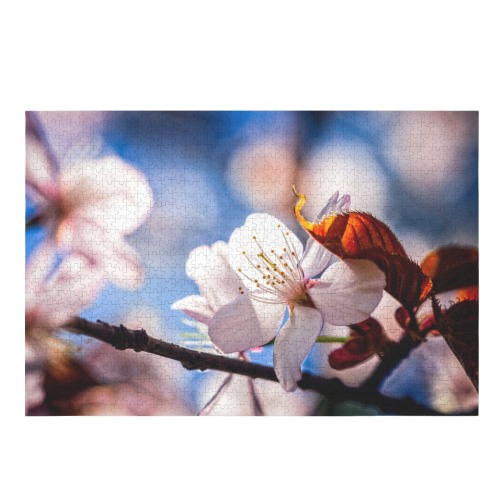 Sunlit sakura cherry flower in the tree shadow.