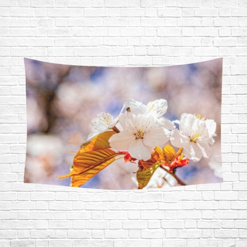 Elegance of white Japanese sakura flowers.