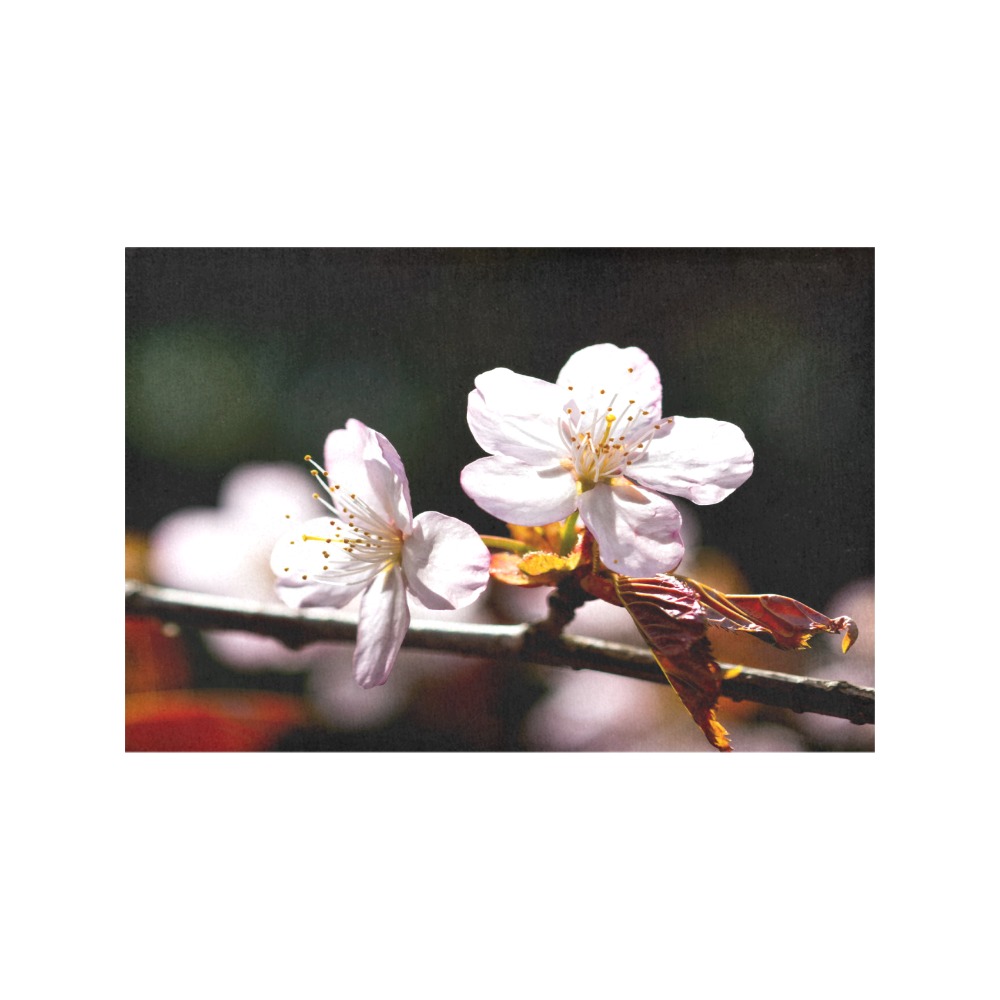 Sunlit sakura flowers. Play of light and shadows. Placemat 12’’ x 18’’ (Set of 6)