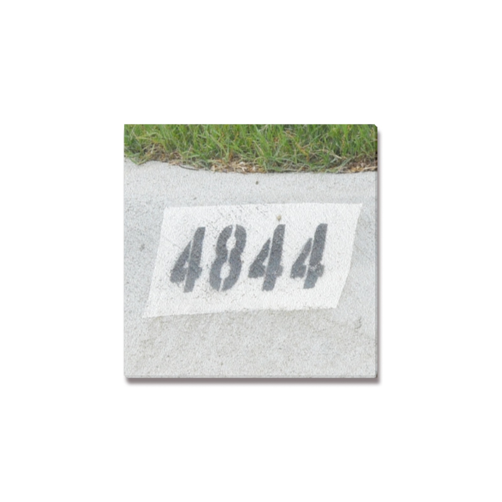 Street Number 4844 Upgraded Canvas Print 6"x6"