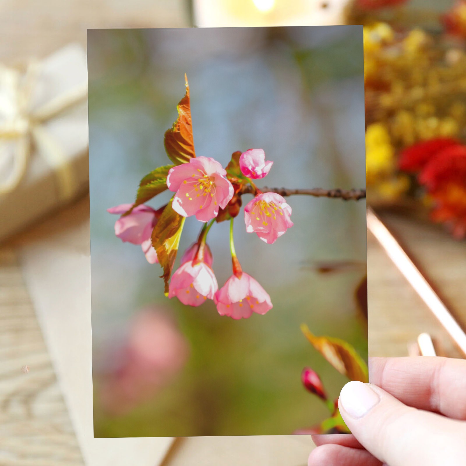 Fresh and young sakura cherry flowers digital art. Greeting Card 4"x6"