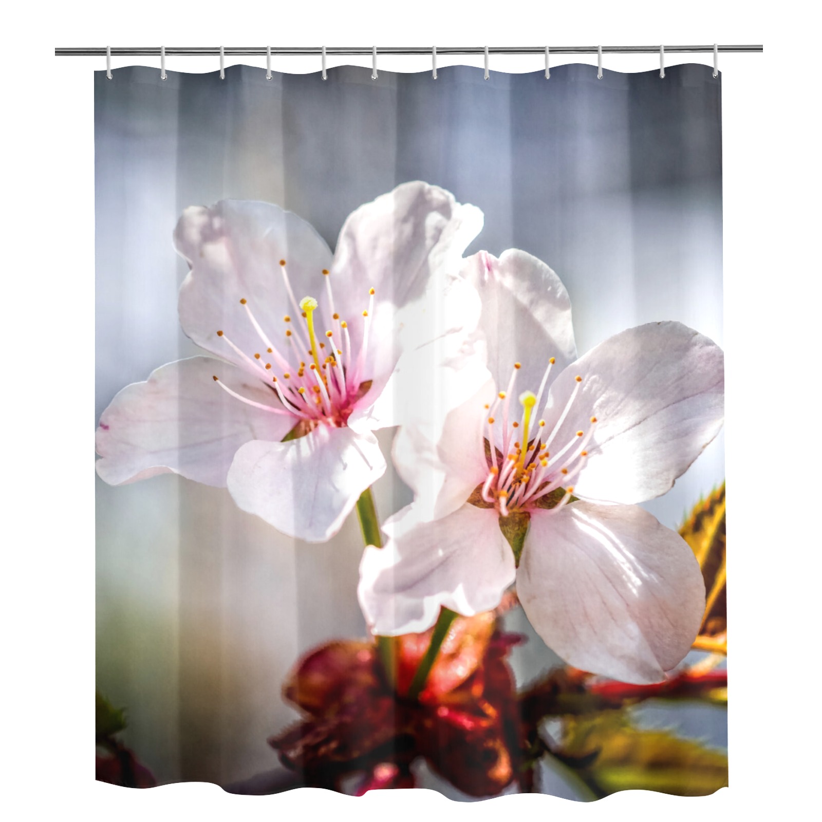 Two absolutely beautiful sakura cherry flowers. Shower Curtain 72"x84"