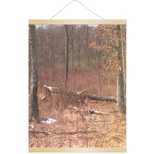 Falling tree in the woods Hanging Poster 18"x24"