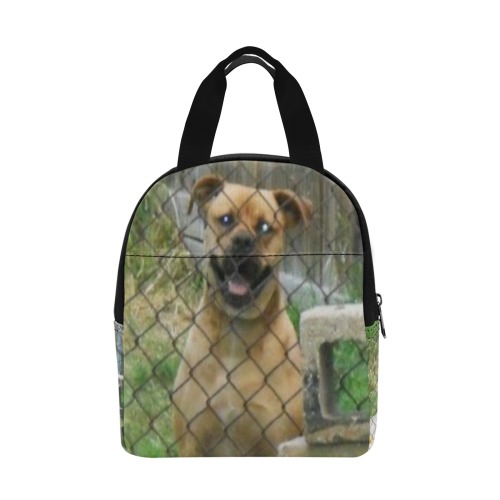 A Smiling Dog Zipper Lunch Bag (Model 1720)