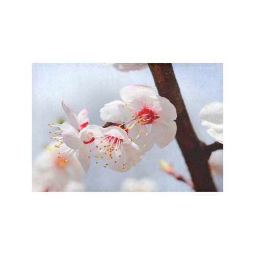 Purity and tenderness of Japanese apticot flowers. Placemat 12’’ x 18’’ (Set of 6)