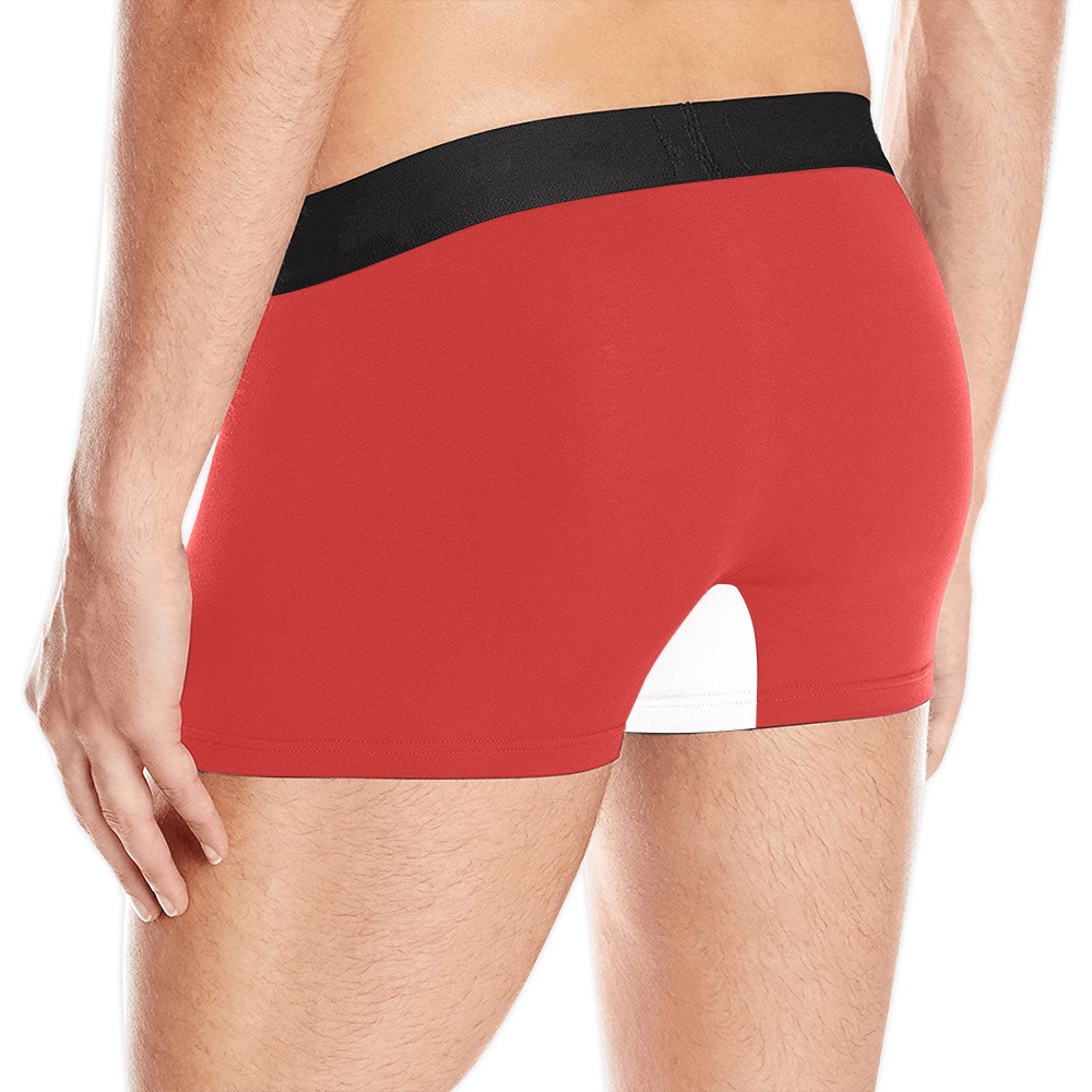 Petty Signature Underwear Men's All Over Print Boxer Briefs (Model L10)