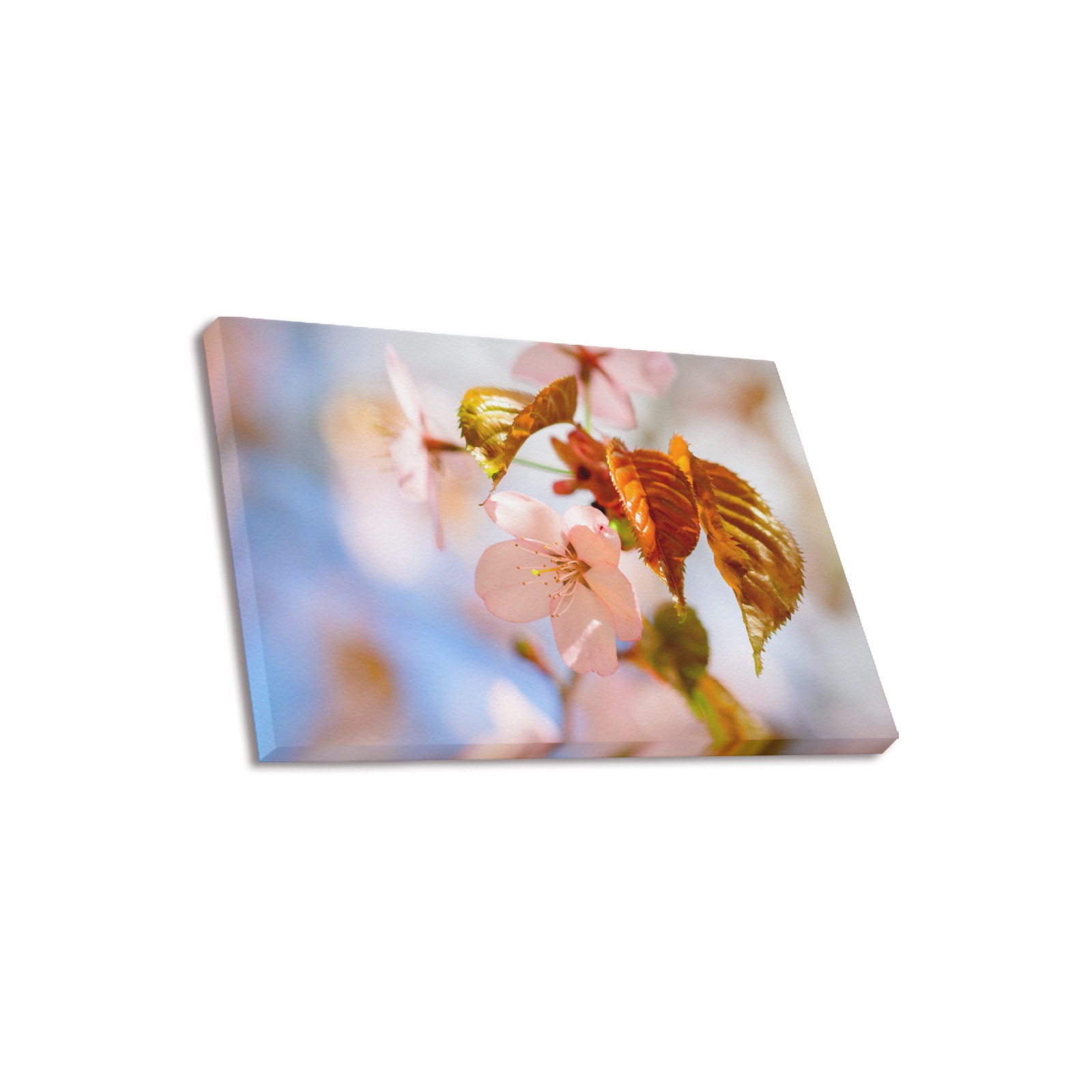 Orange leaves and pink petals of sakura cherry. Upgraded Canvas Print 18"x12"