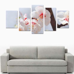 Purity and tenderness of Japanese apticot flowers. Canvas Print Sets D (No Frame)
