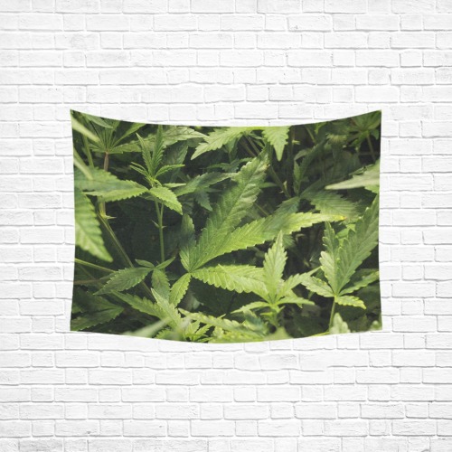 Marijuana Plants In Veg