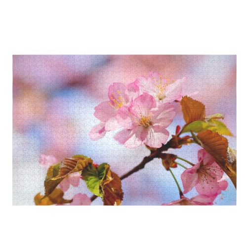 Beauty, love, wisdom of sakura cherry flowers.