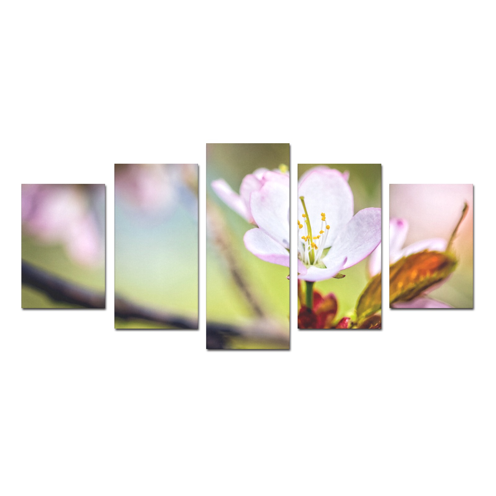Pleasant sakura cherry flowers on a sunny day. Canvas Print Sets D (No Frame)