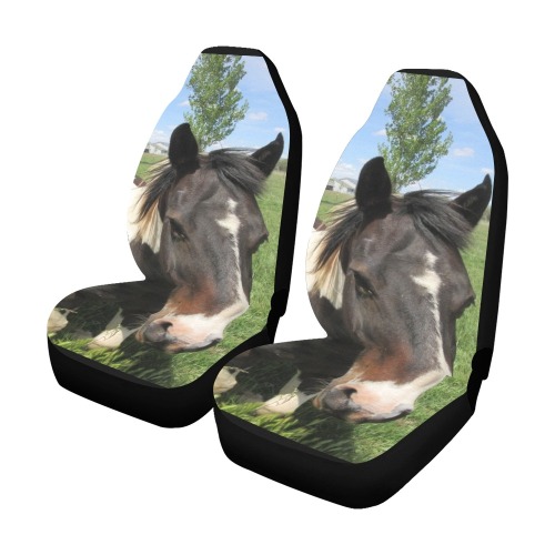 IMG_1939 Car Seat Covers (Set of 2)