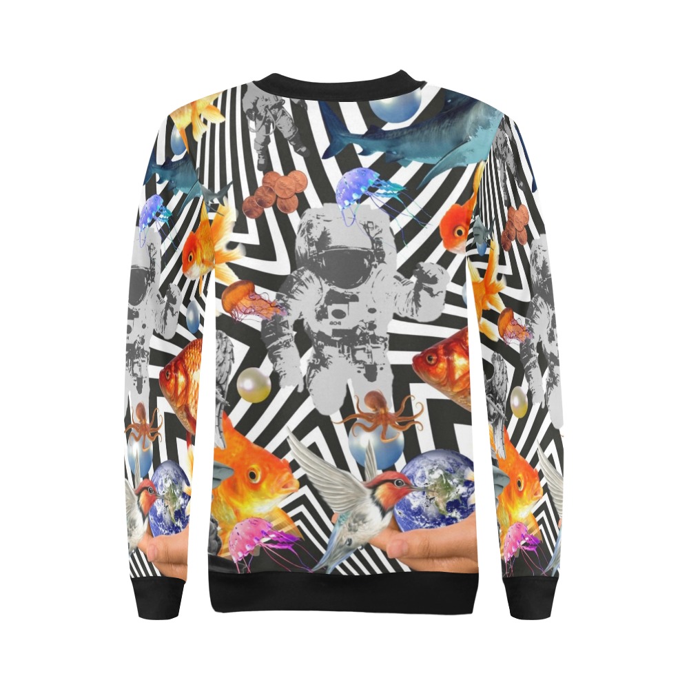 POINT OF ENTRY 2 All Over Print Crewneck Sweatshirt for Women (Model H18)