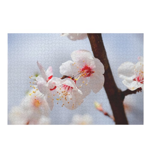 Purity and tenderness of Japanese apticot flowers. 1000-Piece Wooden Jigsaw Puzzle (Horizontal)