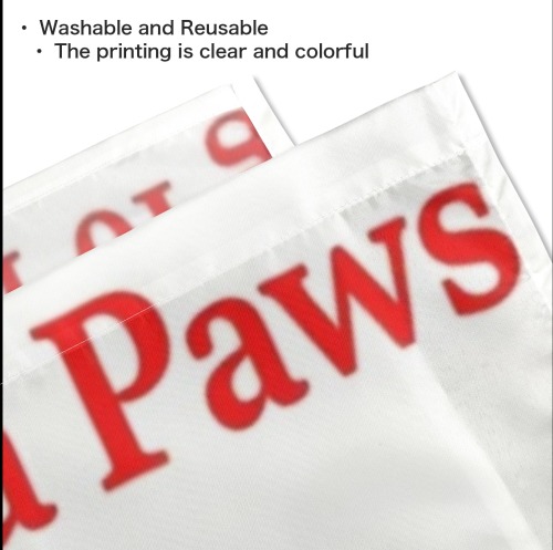 Santa Paws Husky Is Coming To Town