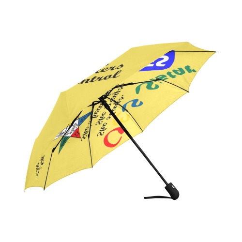 OES umbrella Auto-Foldable Umbrella (Model U04)