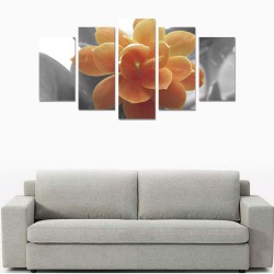 Black & White Single Orange Kalonchoe Flower Photograph Canvas Print Sets A (No Frame)