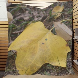 Elegance of Autumn Quilt 70"x80"