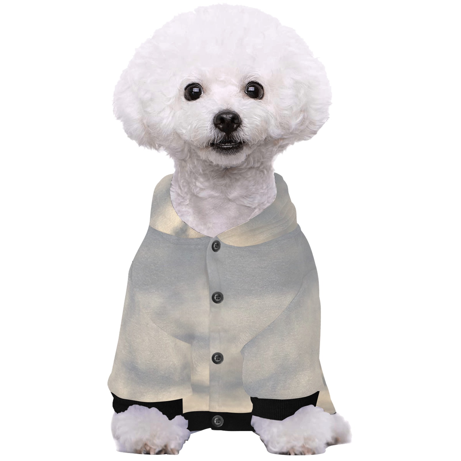 Rippled Cloud Collection Pet Dog Hoodie
