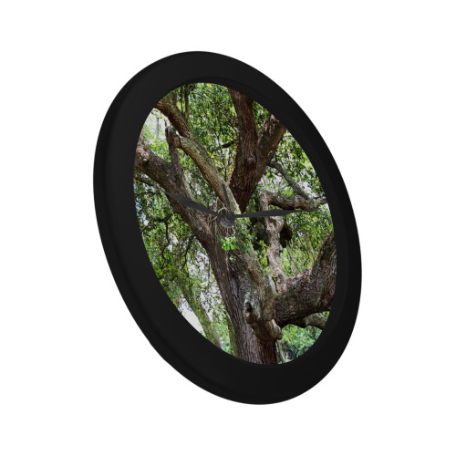 Oak Tree In The Park 7659 Stinson Park Jacksonville Florida Circular Plastic Wall clock