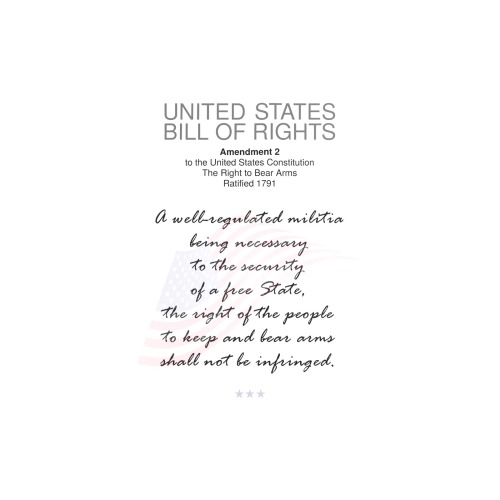 USA Bill Of Rights Second Amendment Arms Weapons Art Print 19‘’x28‘’
