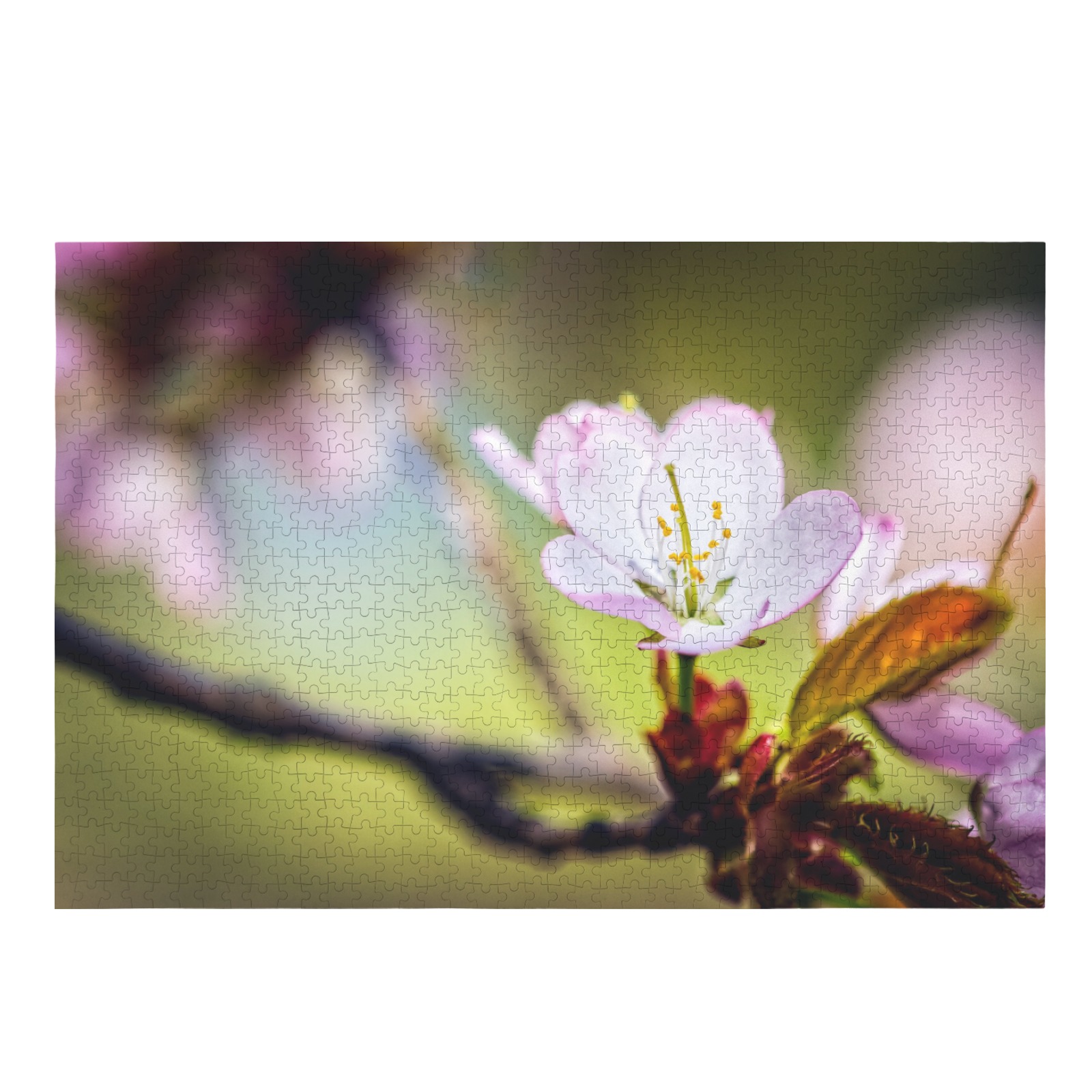 Pleasant sakura cherry flowers on a sunny day. 1000-Piece Wooden Jigsaw Puzzle (Horizontal)