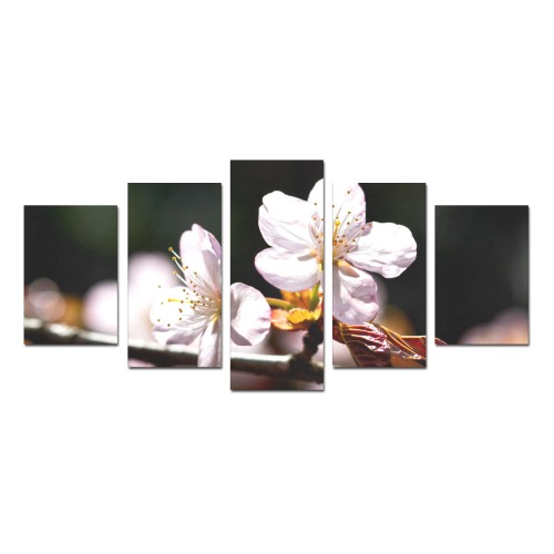 Sunlit sakura flowers. Play of light and shadows. Canvas Print Sets D (No Frame)