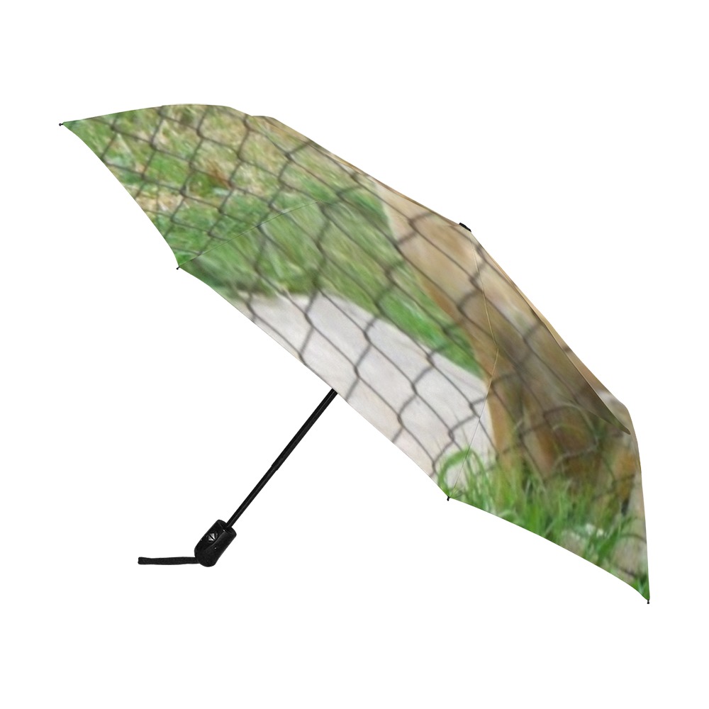 A Smiling Dog Anti-UV Auto-Foldable Umbrella (U09)