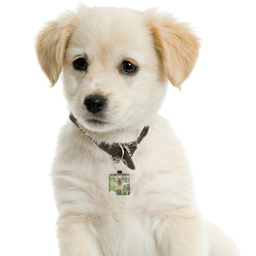 A Smiling Dog Square Pet ID Tag