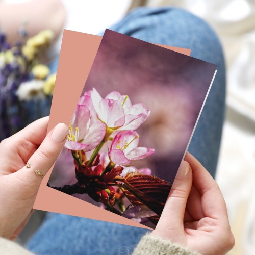 Charming pink sakura flowers. Light and shadows.
