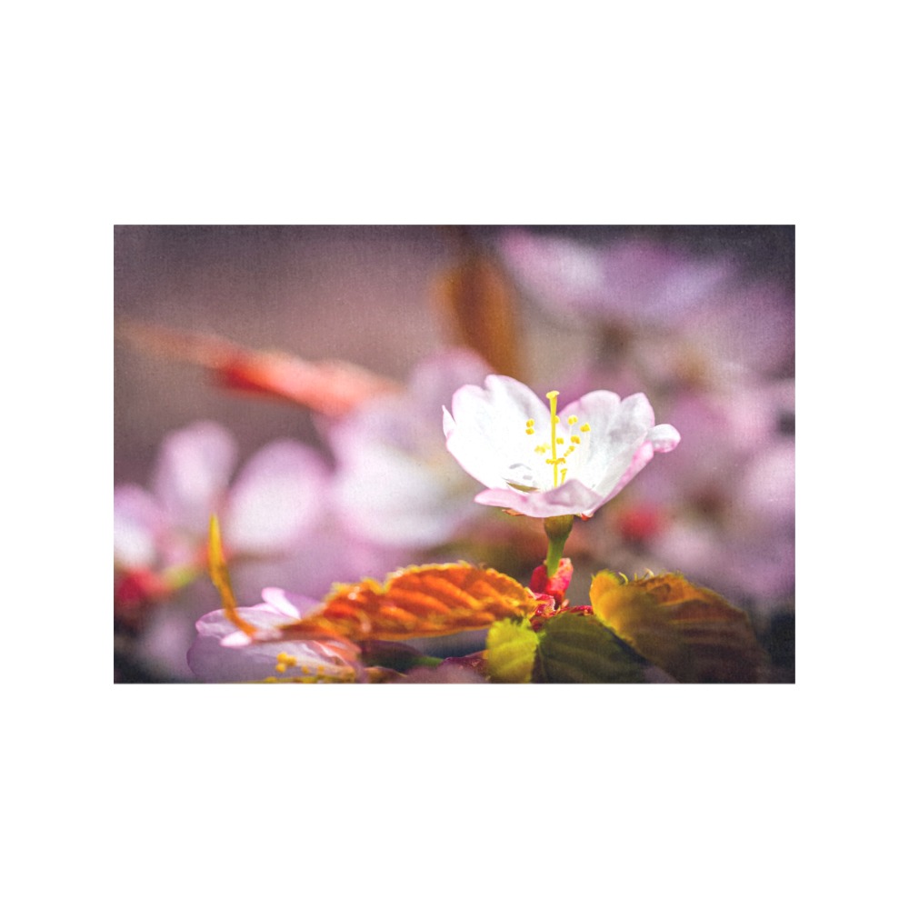 Sakura cherry flower enjoys sunshine in spring. Placemat 12’’ x 18’’ (Set of 6)