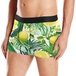 LEMON PATTERN Men's Boxer Briefs w/ Custom Waistband (Merged Design) (Model L10)