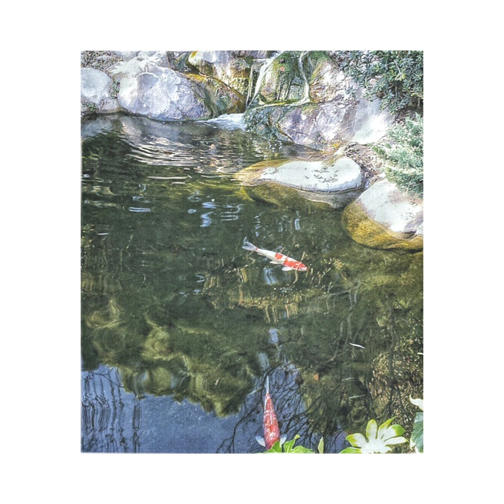 Reflecting Pond Cotton Linen Wall Tapestry 51"x 60"