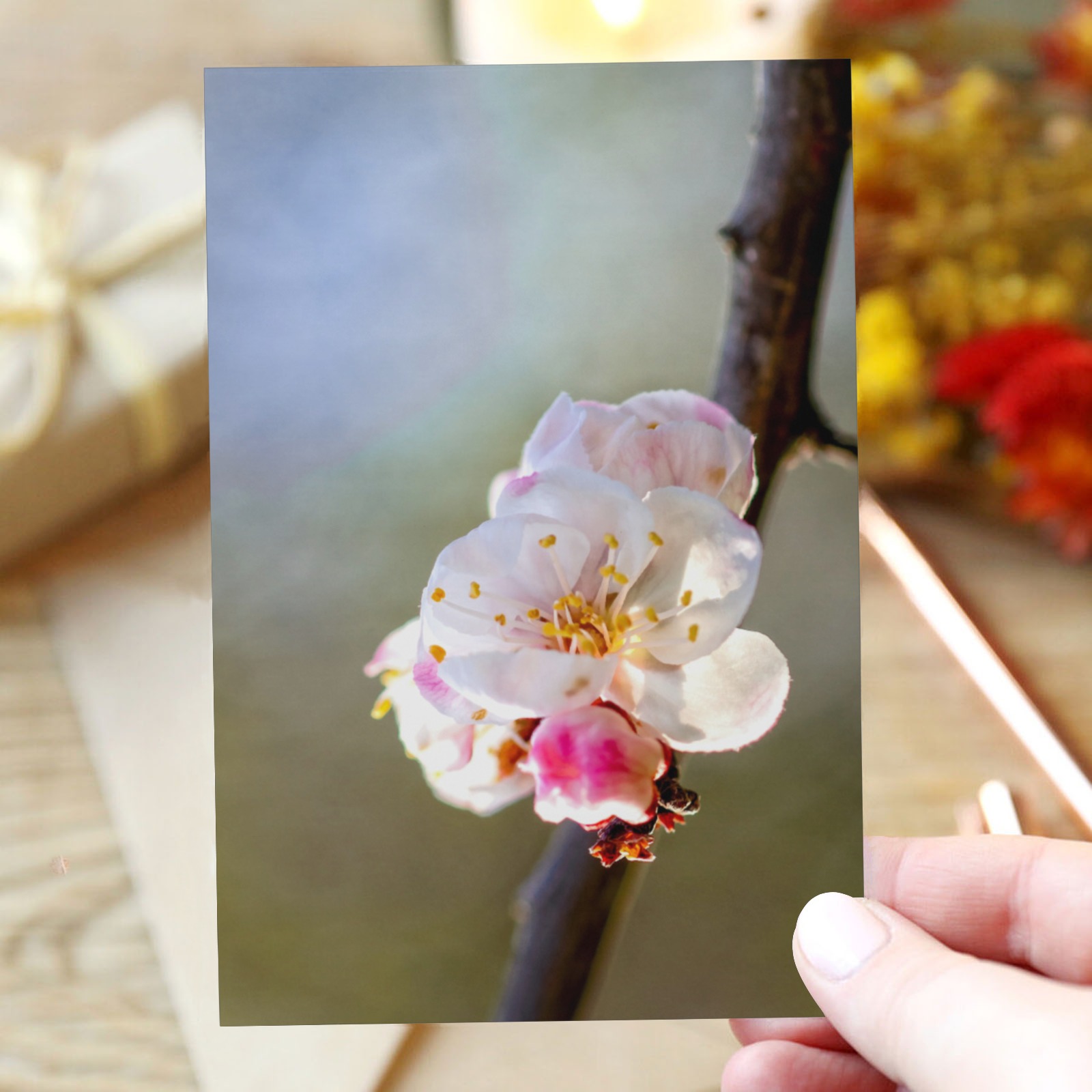 Minimalism of Japanese apricot branch and flowers. Greeting Card 4"x6"