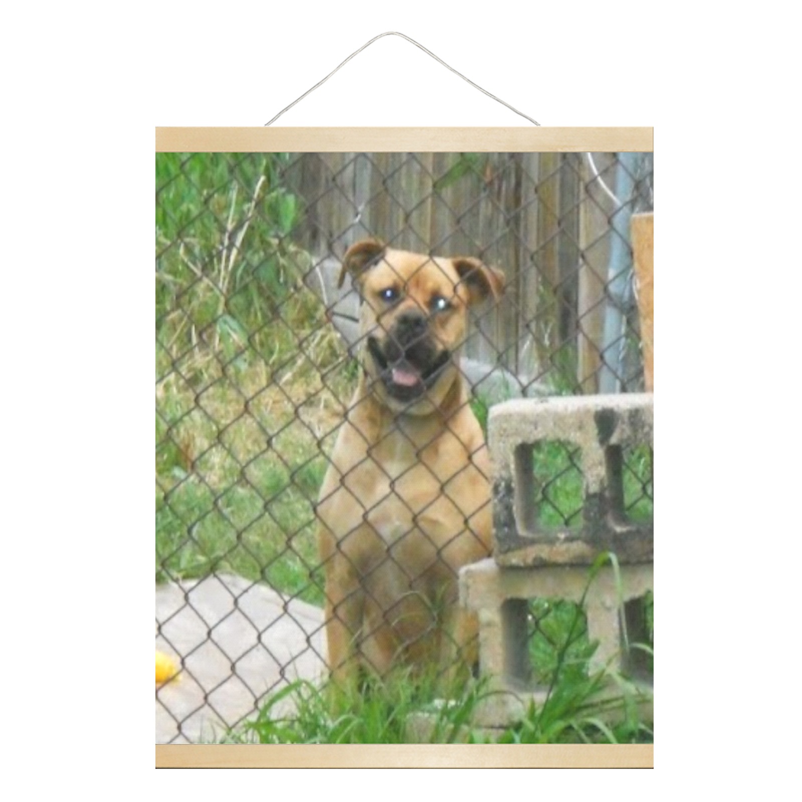 A Smiling Dog Hanging Poster 16"x20"