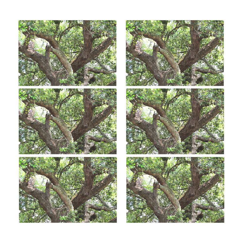 Oak Tree In The Park 7659 Stinson Park Jacksonville Florida Placemat 12’’ x 18’’ (Set of 6)