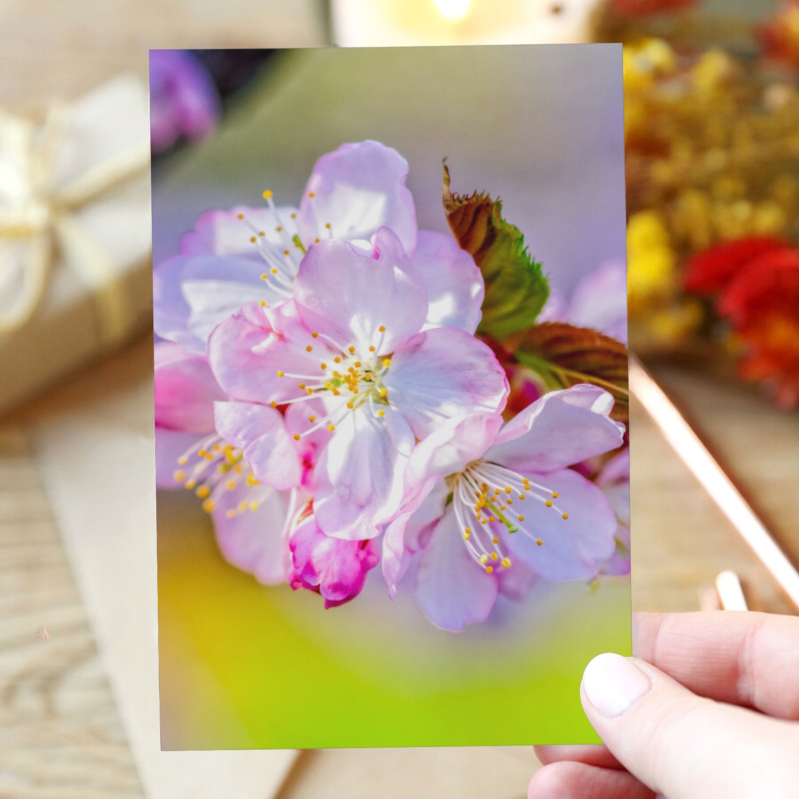 Lovely pink sakura cherry blossoms in spring. Greeting Card 4"x6"