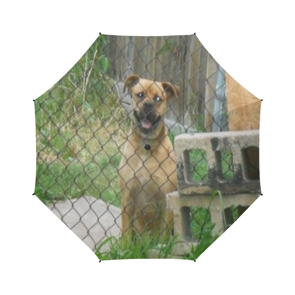 A Smiling Dog Semi-Automatic Foldable Umbrella (Model U05)
