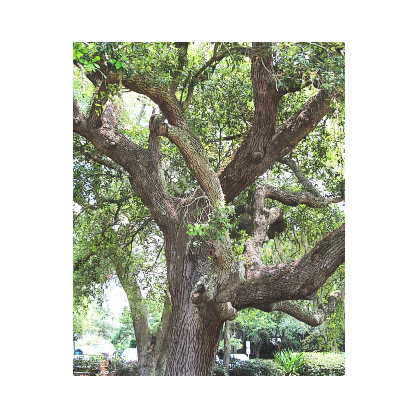 Oak Tree In The Park 7659 Stinson Park Jacksonville Florida Duvet Cover 86"x70" ( All-over-print)