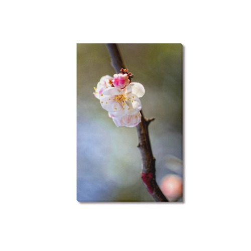 Minimalism of Japanese apricot branch and flowers. Upgraded Canvas Print 18"x12"