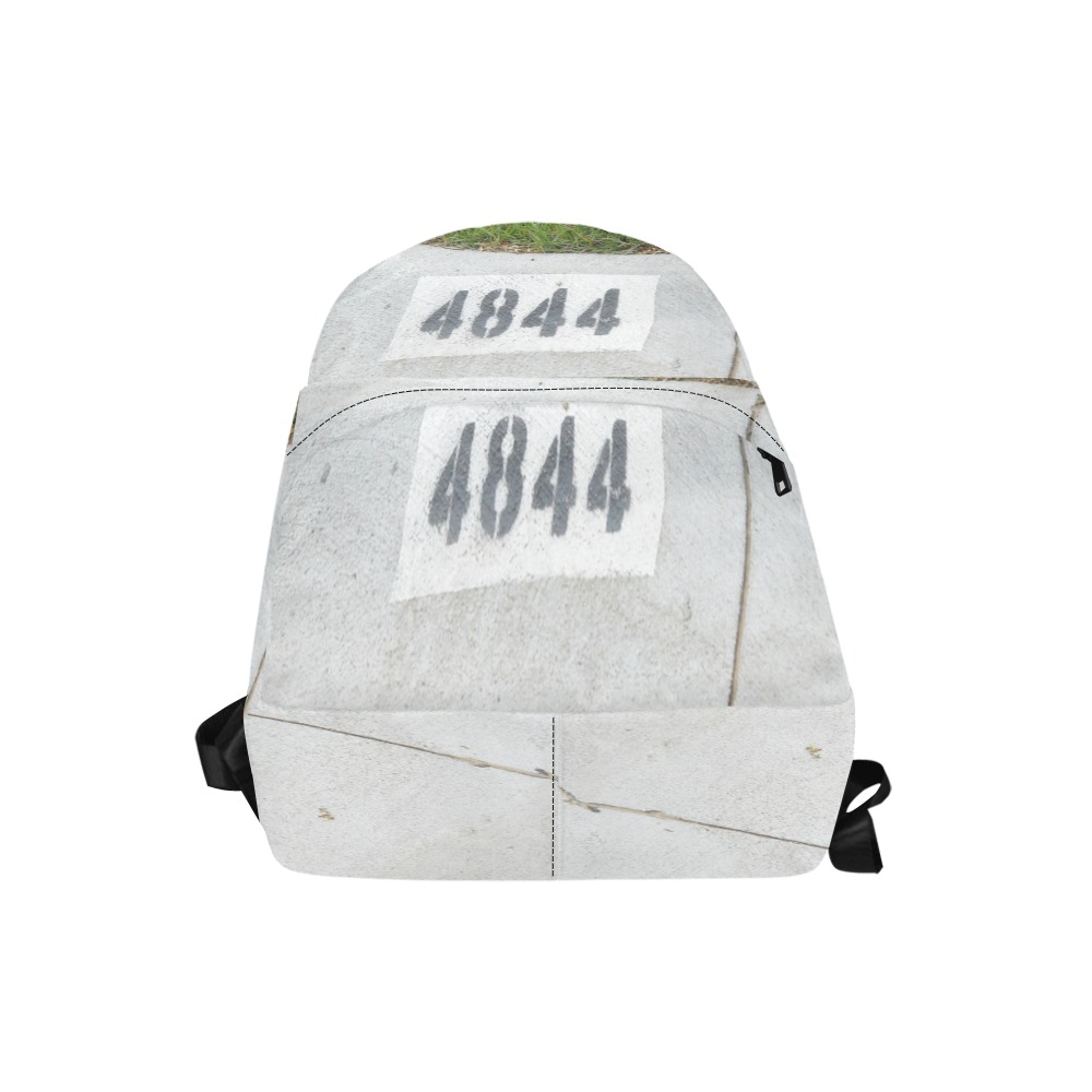 Street Number 4844 Unisex Classic Backpack (Model 1673)